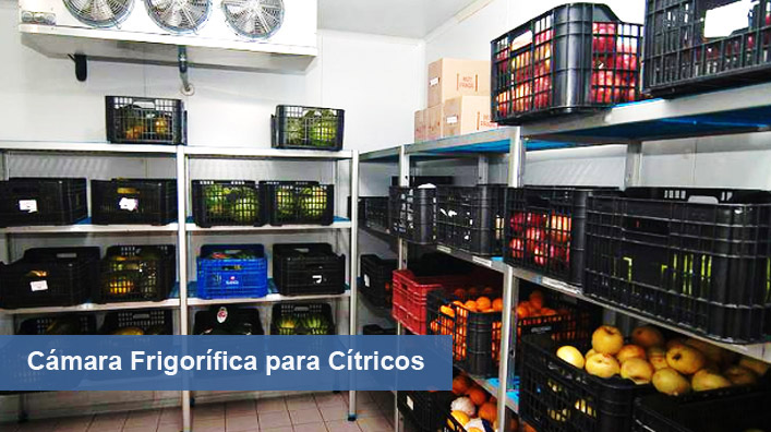 Camara frigorifica para citricos